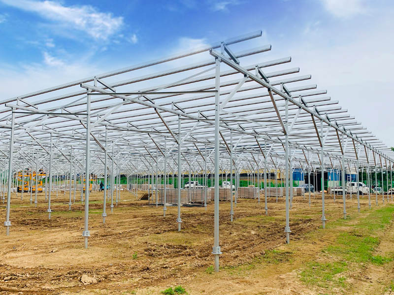  Antaisolar .cung cấp cấu trúc năng lượng mặt trời nhôm cho dự án năng lượng mặt trời nông nghiệp tại Hàn Quốc